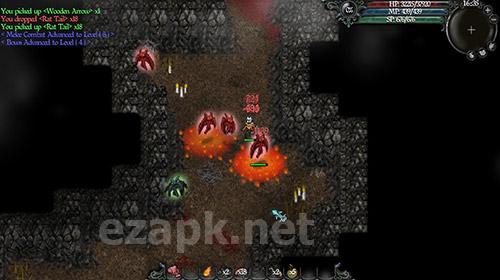 9th dawn 3: Shadow of Erthil