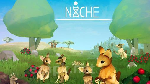 Niche