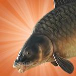 Carp fishing simulator