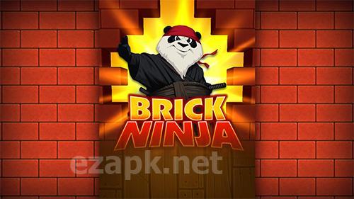 Brick ninja