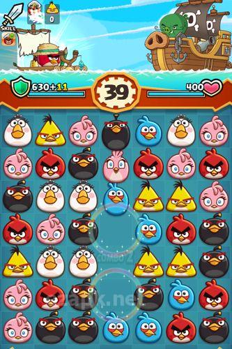 Angry birds: Fight!