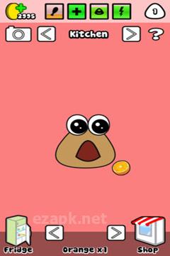 Pou