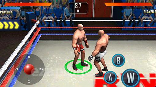 WWE wrestling 3D