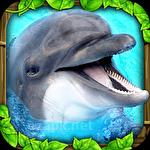 Dolphin simulator