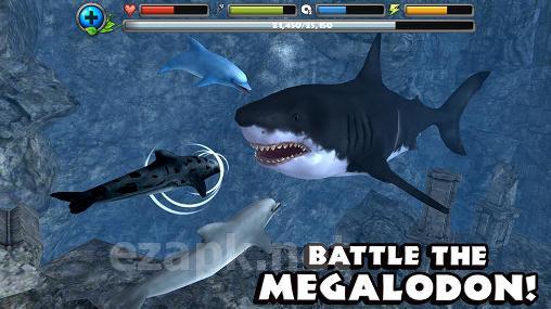 Dolphin simulator
