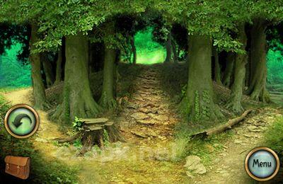 The Lost City