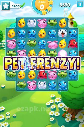 Puzzle pets