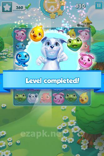 Puzzle pets