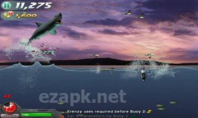 Jaws Revenge
