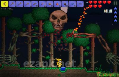 Terraria