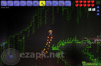 Terraria