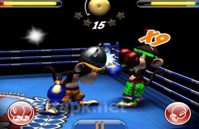 Monkey Boxing