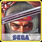 The revenge of shinobi