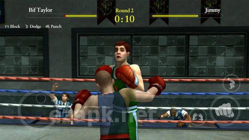 Bully: Anniversary edition