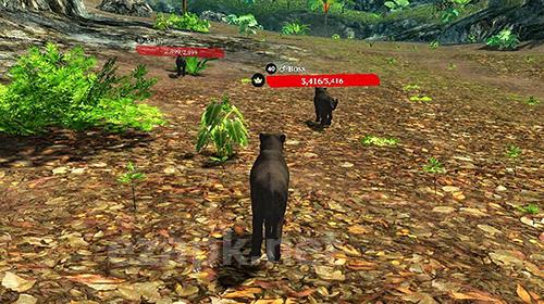 Panther online