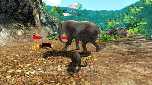 Panther online