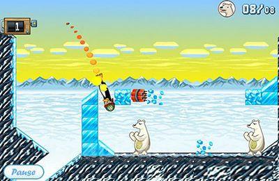 Angry Penguin Catapult