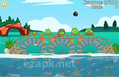 Angry Birds Seasons: Water adventures