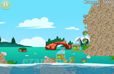 Angry Birds Seasons: Water adventures