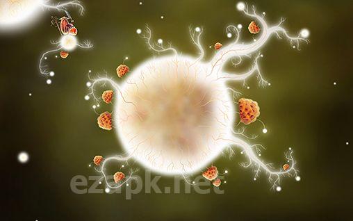Botanicula