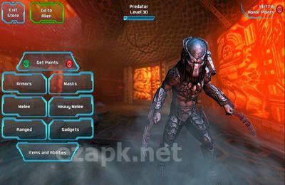 AVP: Evolution