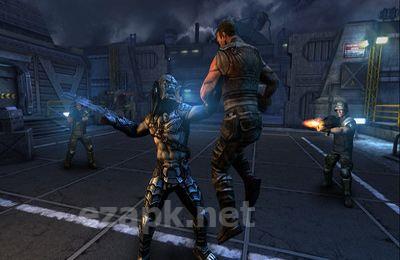 AVP: Evolution