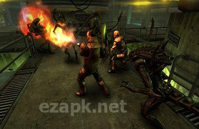 AVP: Evolution