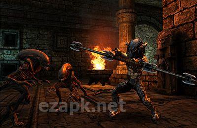 AVP: Evolution