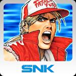 Fatal fury: Special