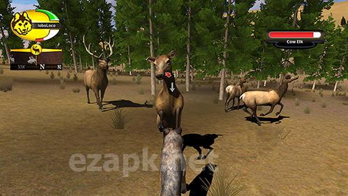 Wolf quest