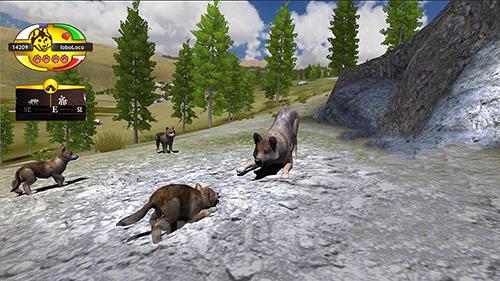 Wolf quest