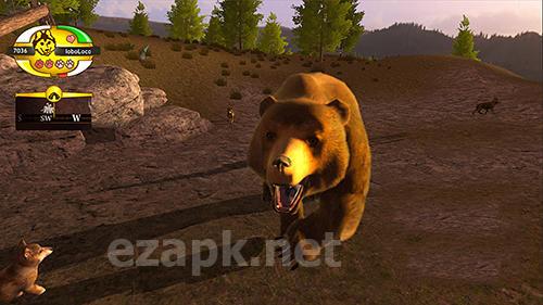 Wolf quest