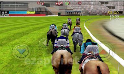 iHorse Racing
