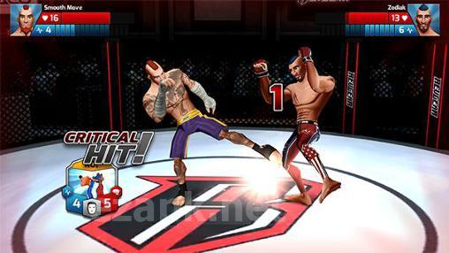 MMA federation