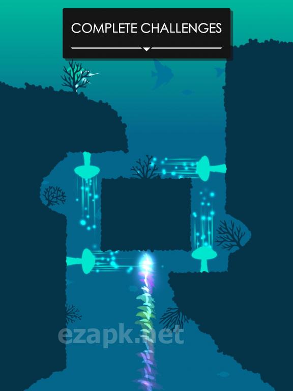 Light the Sea