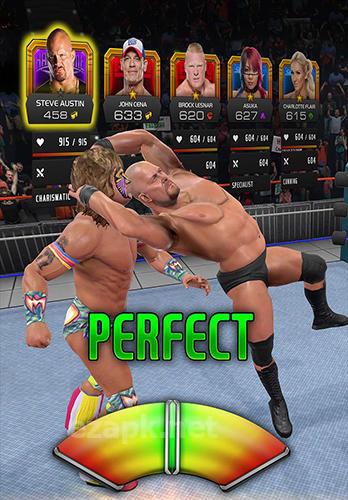 WWE universe