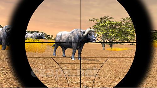 Safari hunting 4x4