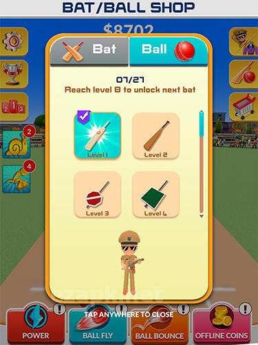 Little Singham cricket