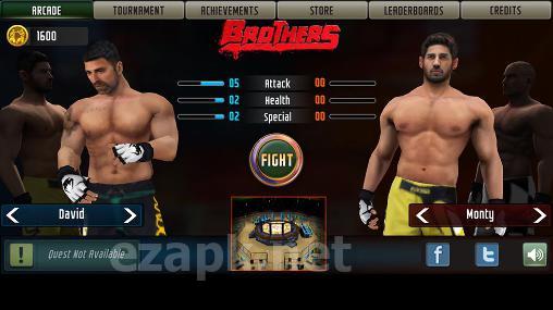 Brothers: Clash of fighters