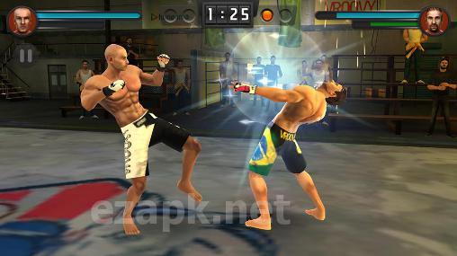 Brothers: Clash of fighters