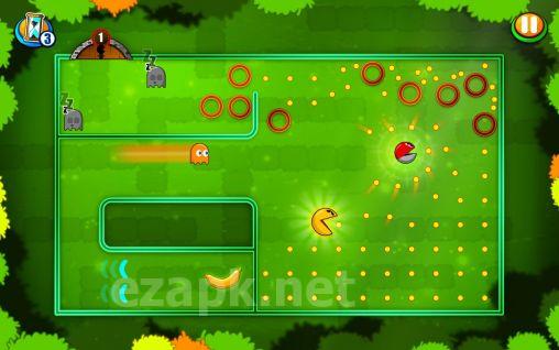 Pac-Man friends
