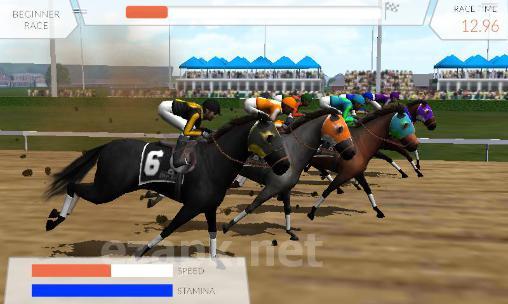 Photo finish: Horse racing