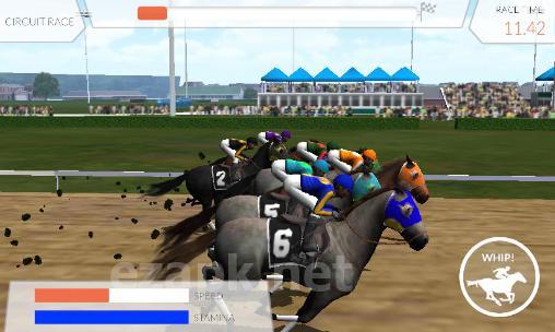 Photo finish: Horse racing
