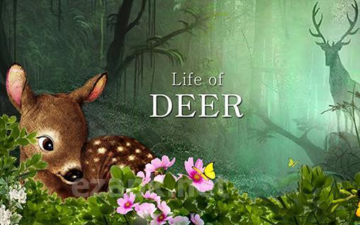 Life of deer