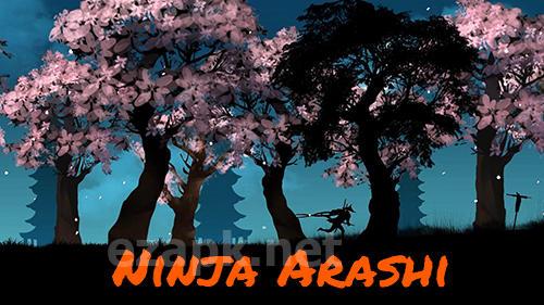 Ninja Arashi