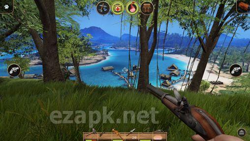 Radiation island