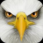 Ultimate bird simulator