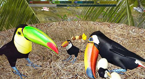 Ultimate bird simulator