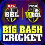 Big bash cricket
