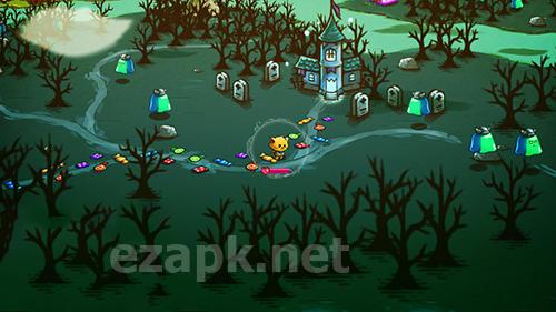 Cat quest